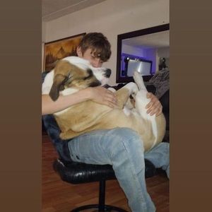 Meet your Posher, Robert